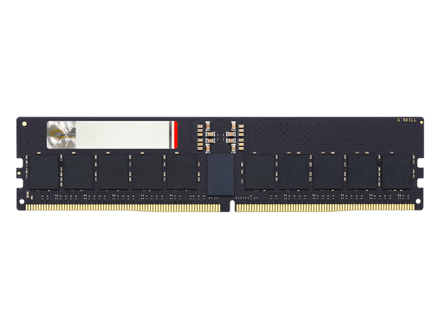 G.SKILL G5 32GB DDR5-5600 CL46 ECC RDIMM